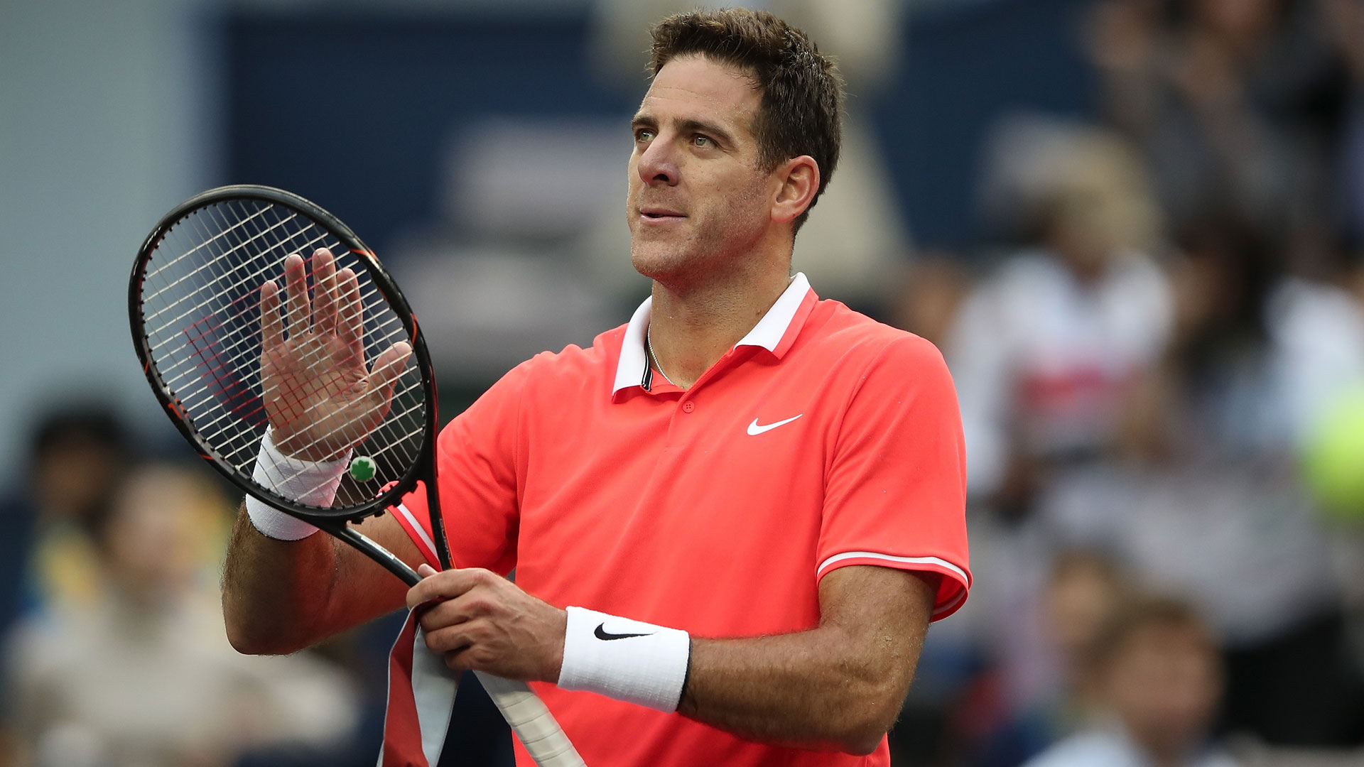 Juan Martín Del Potro