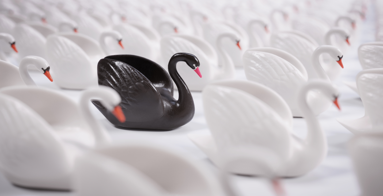 Cisne Negro