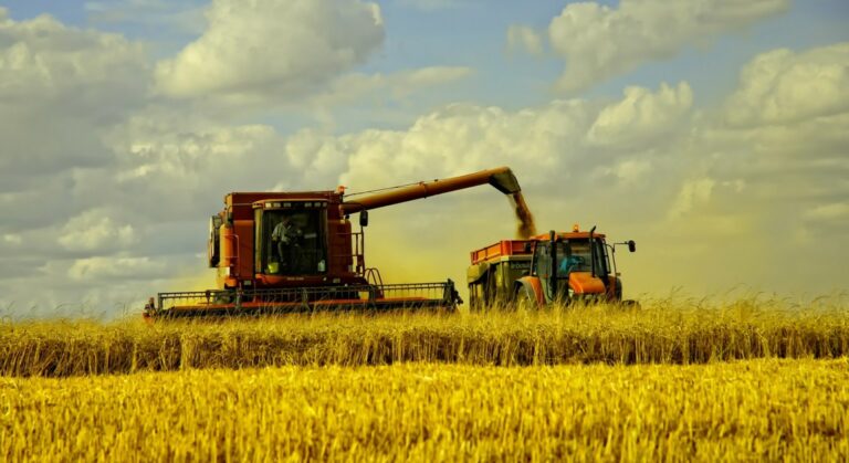 Siete De Cada Diez Dólares De Exportaciones Provienen Del Campo ¿deben Ser Más EconomÍa El 9831