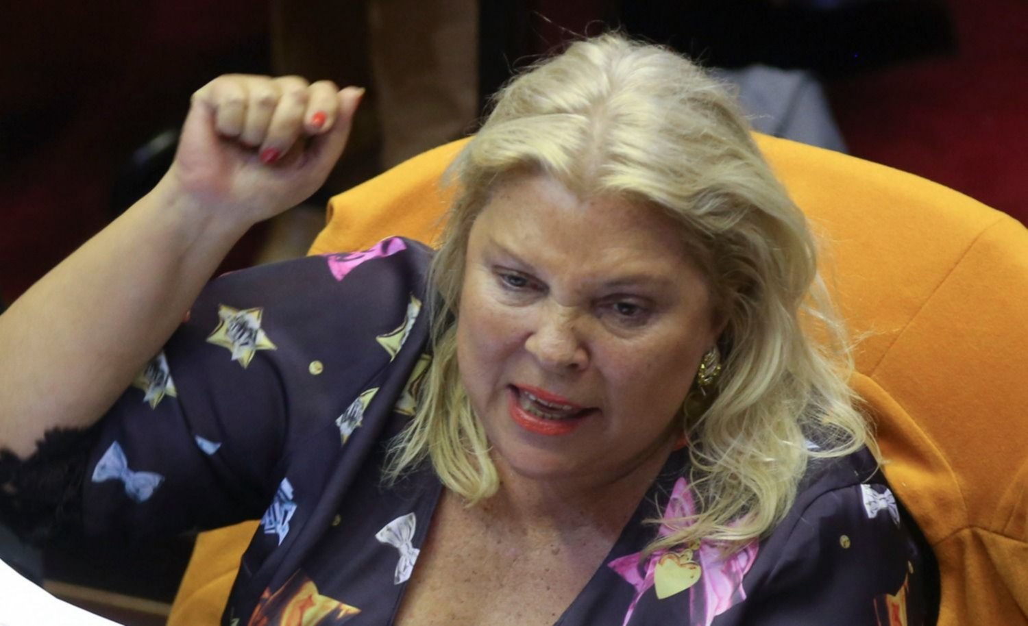 Elisa Carrió