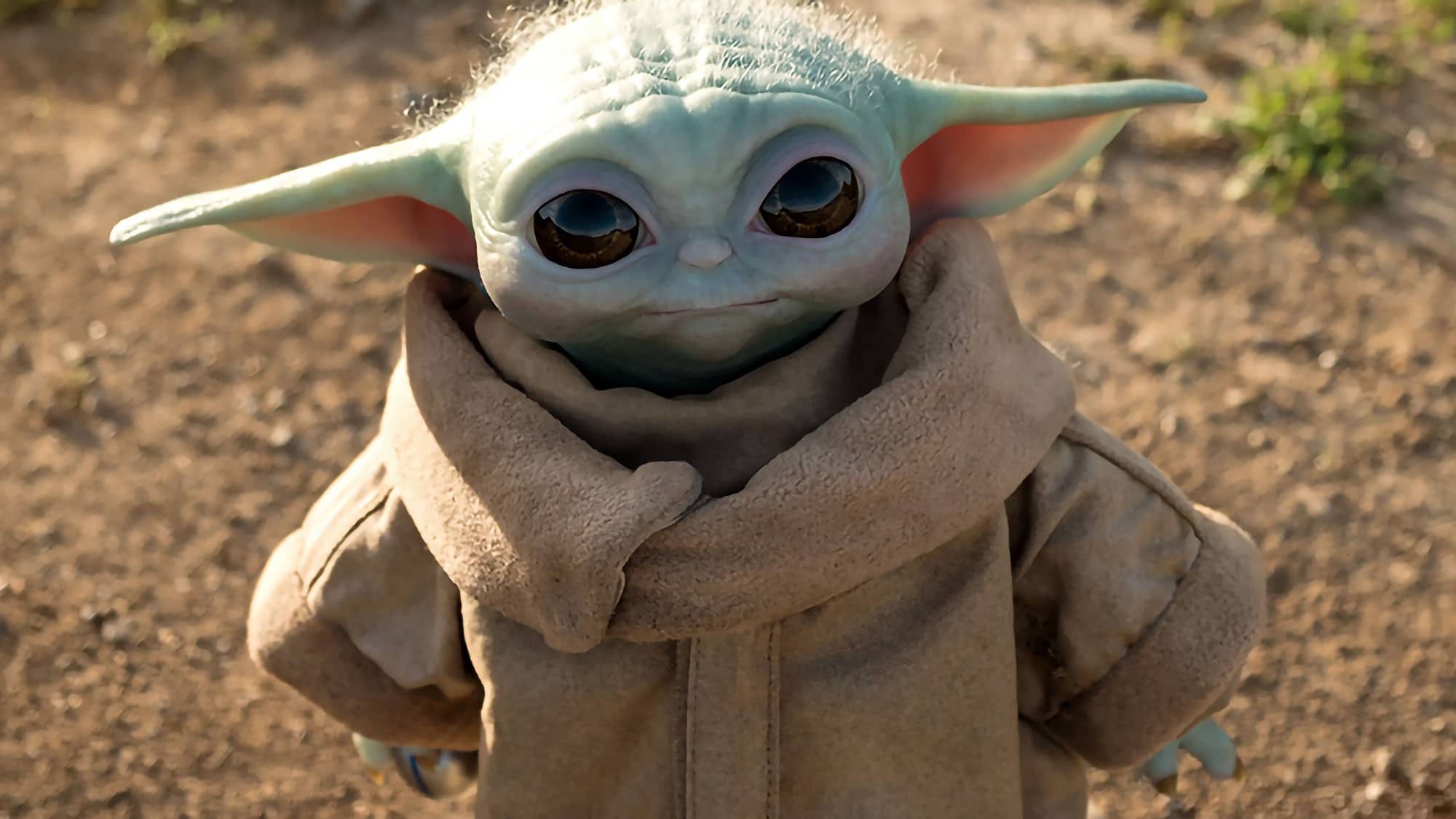 Alerta De Ternura Por Que Baby Yoda Es Tendencia En Redes Este Viernes Celebrities El Intransigente