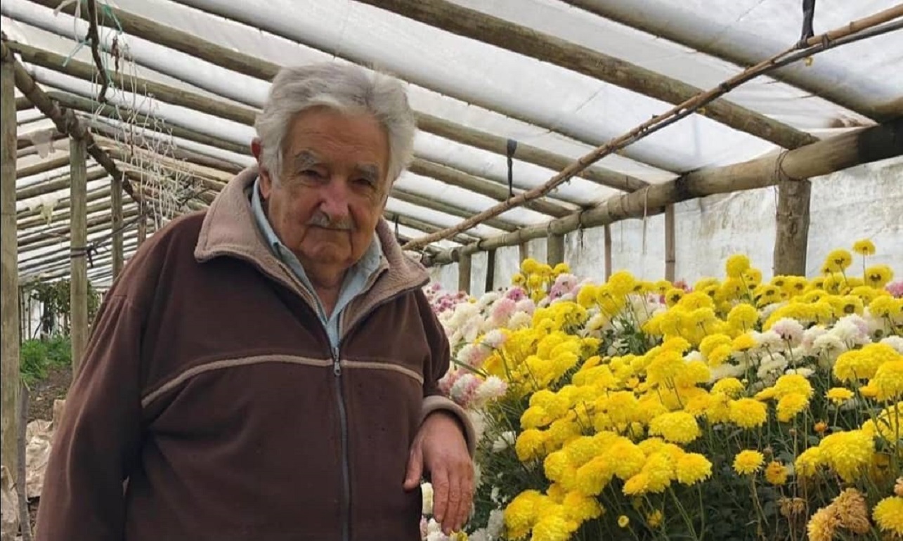 Pepe-Mujica