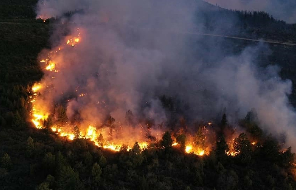 Resultado de imagen para Incendios el bolson