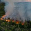 Los incendios forestales destruyeron una superficie tres veces mayor a capital federal