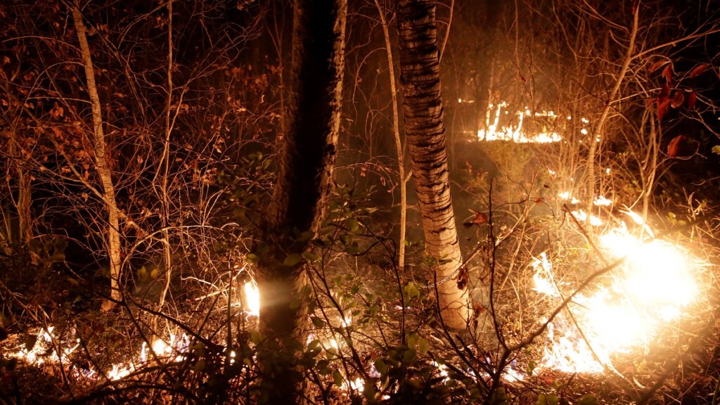 Catástrofe en Bolivia: en cuatro meses, los incendios forestales arrasaron 150.000 hectáreas de bosque - Vimarsana News
