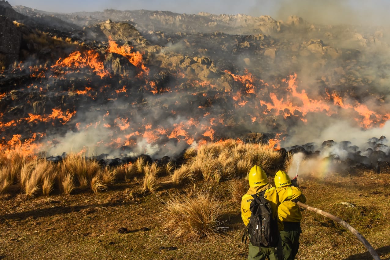 Incendios en la Patagonia