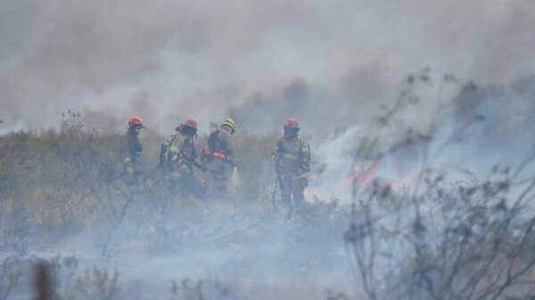 incendios en la Patagonia