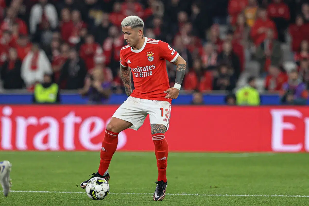 Enzo Fernandez