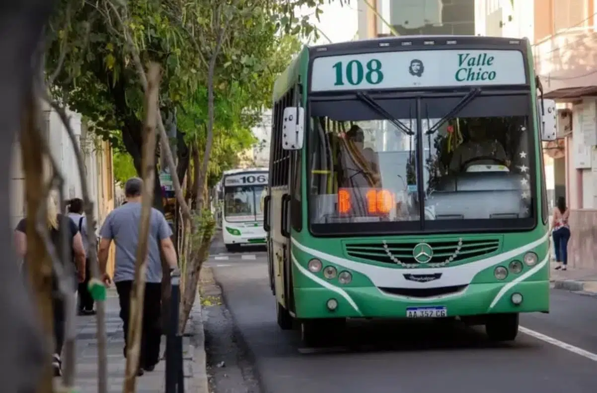 colectivos