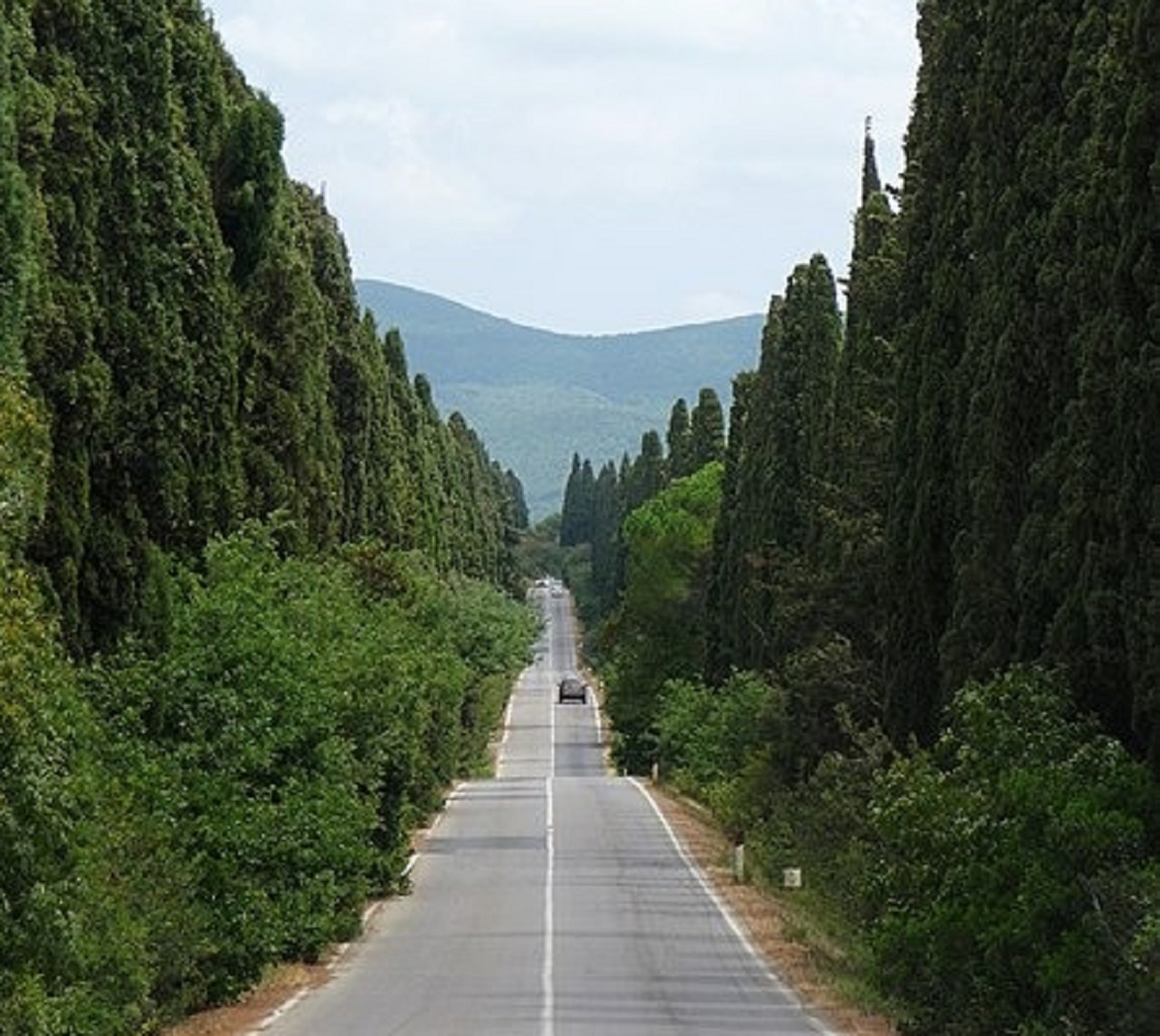 Bolgheri