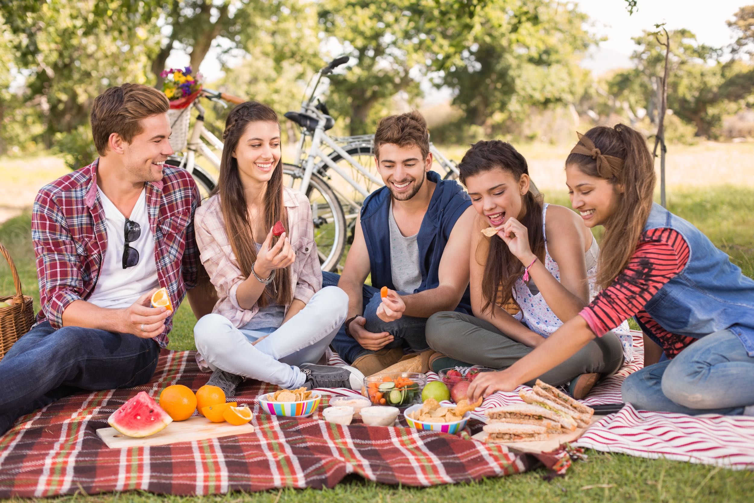 Vinos del norte argentino para un picnic inolvidable este verano