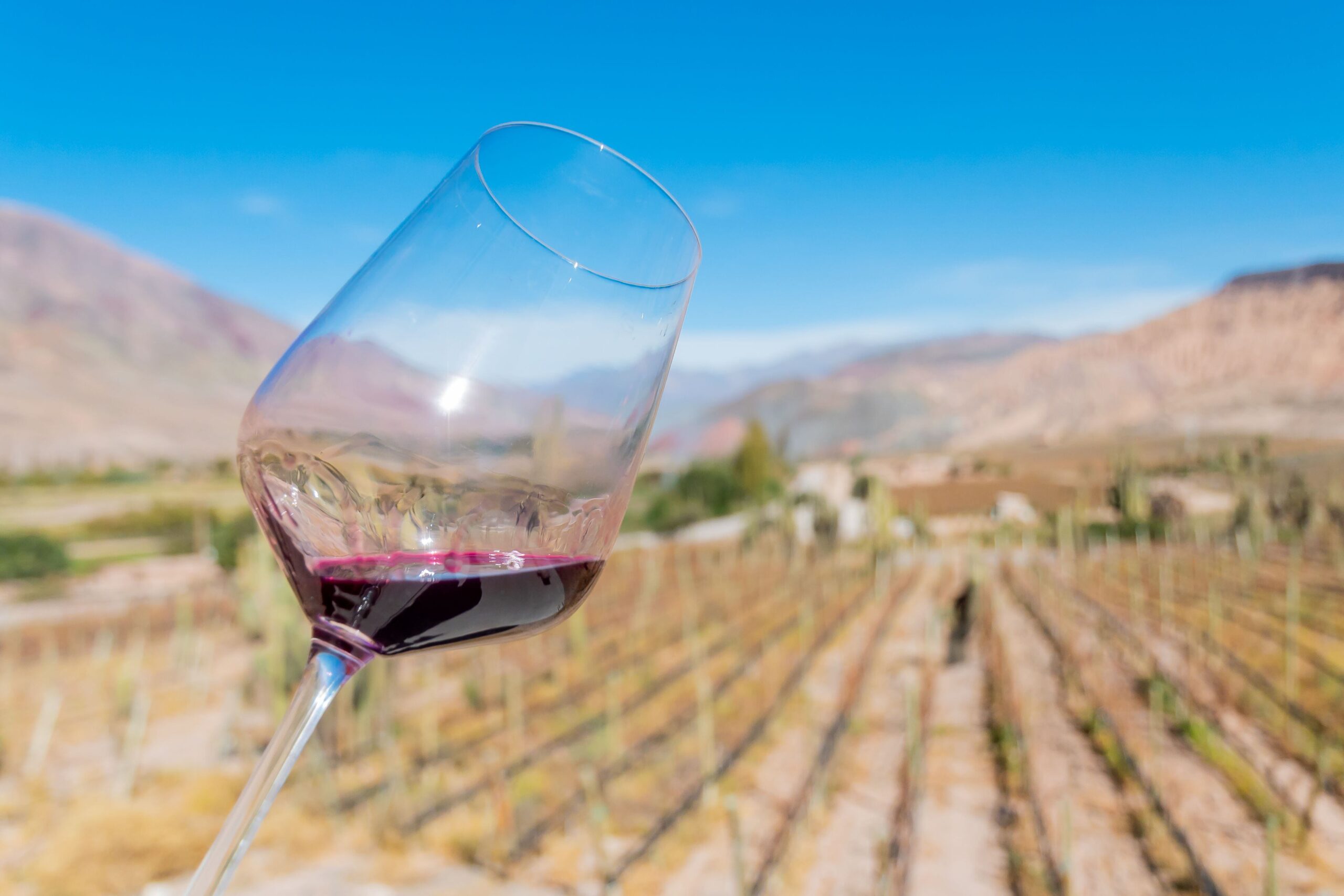 Vinos de Jujuy