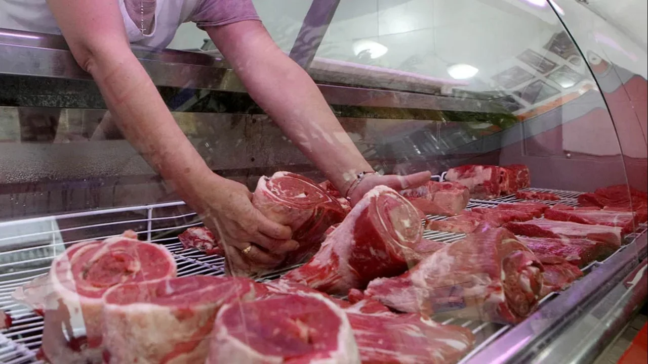 Carne
