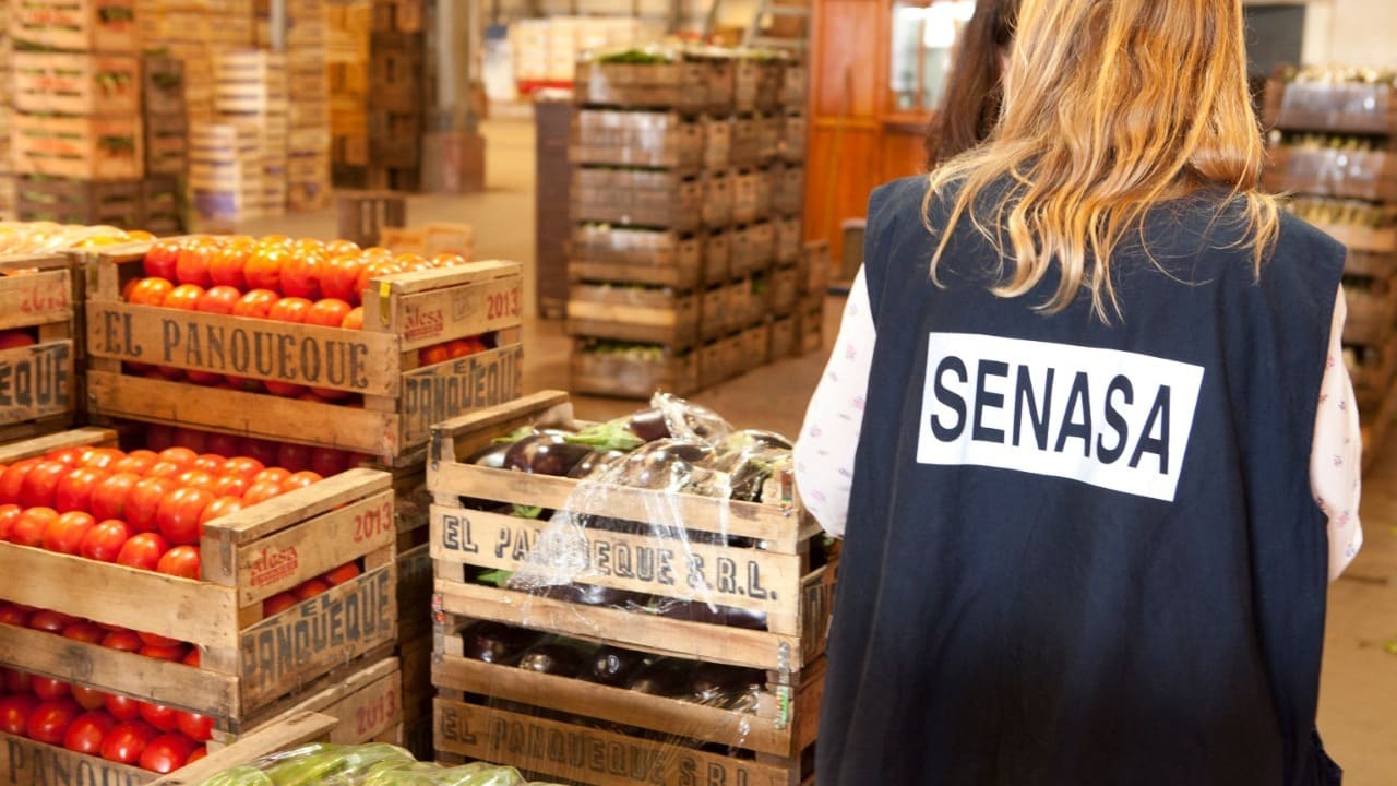 SENASA