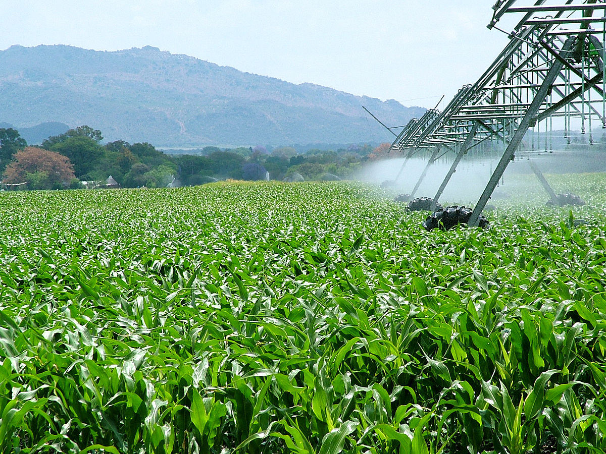 Agroindustria