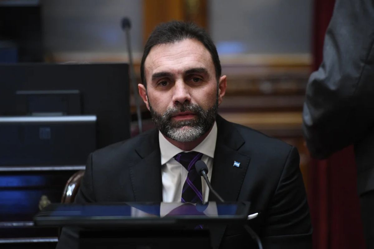 Ficha Limpia
