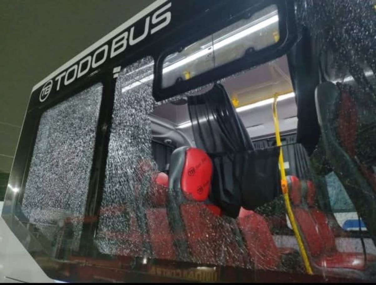 colectivos