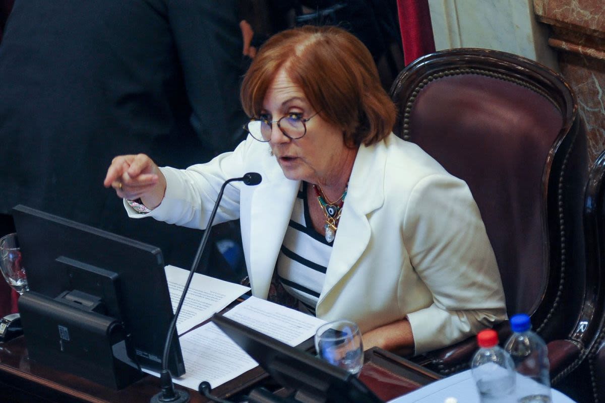 Ficha Limpia, Alejandra Vigo