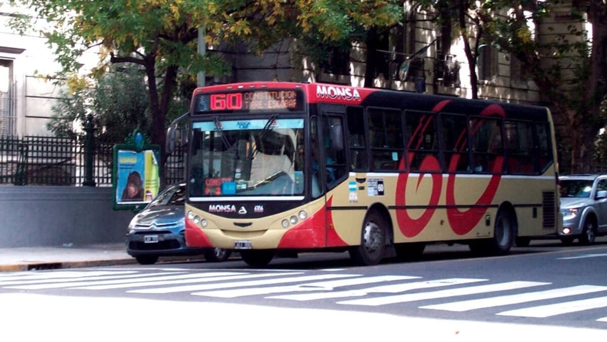 colectivos
