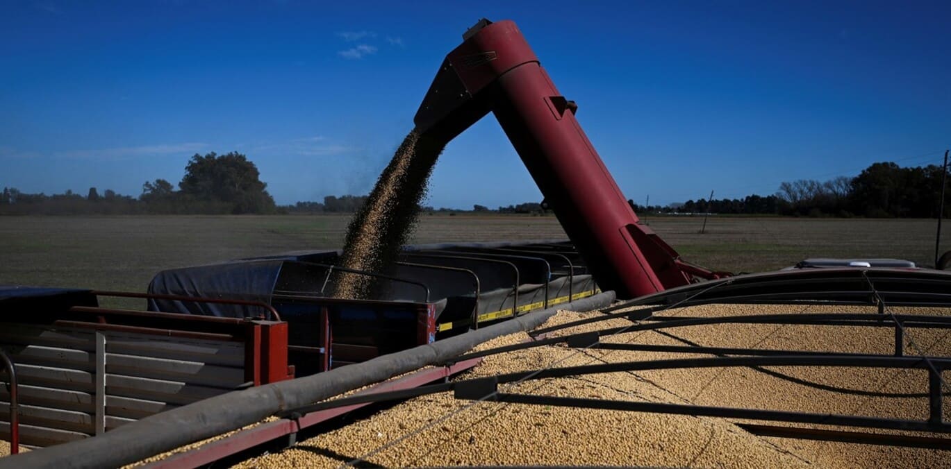 campo