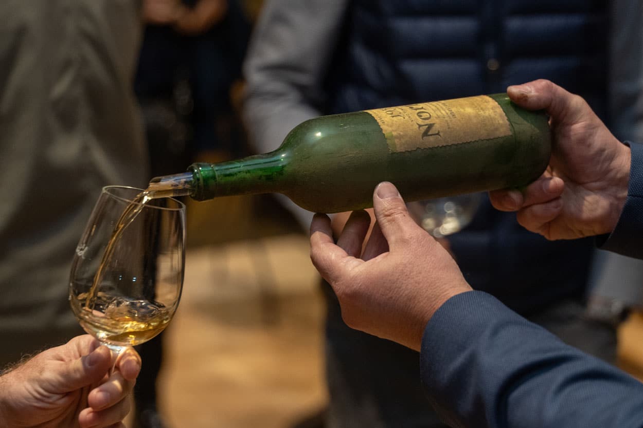Semillón