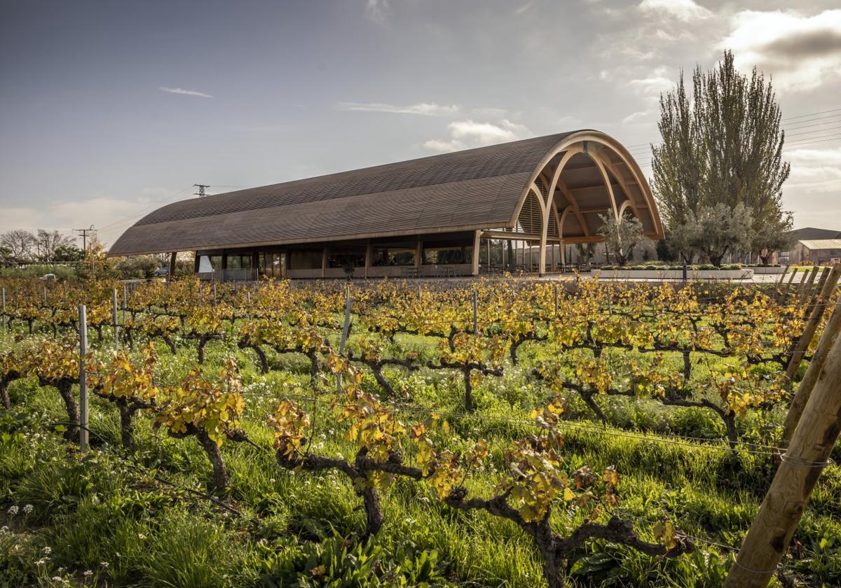 Bodega Faustino