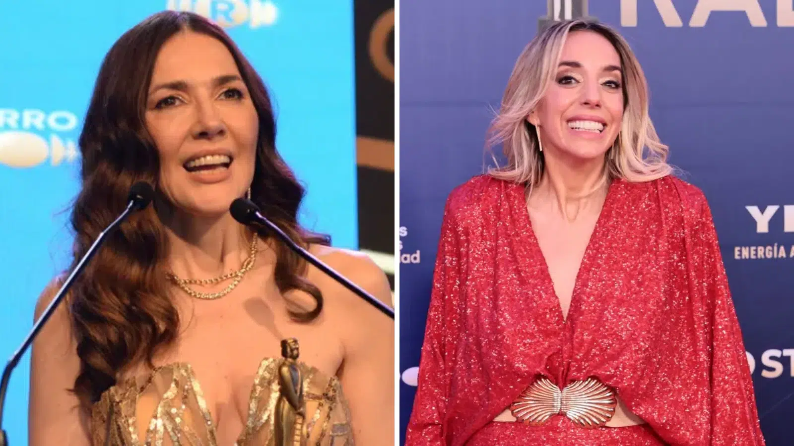Le respondió! Cristina Pérez cruzó con todo a Tamara Pettinato ESPECTÁCULO  El Intransigente