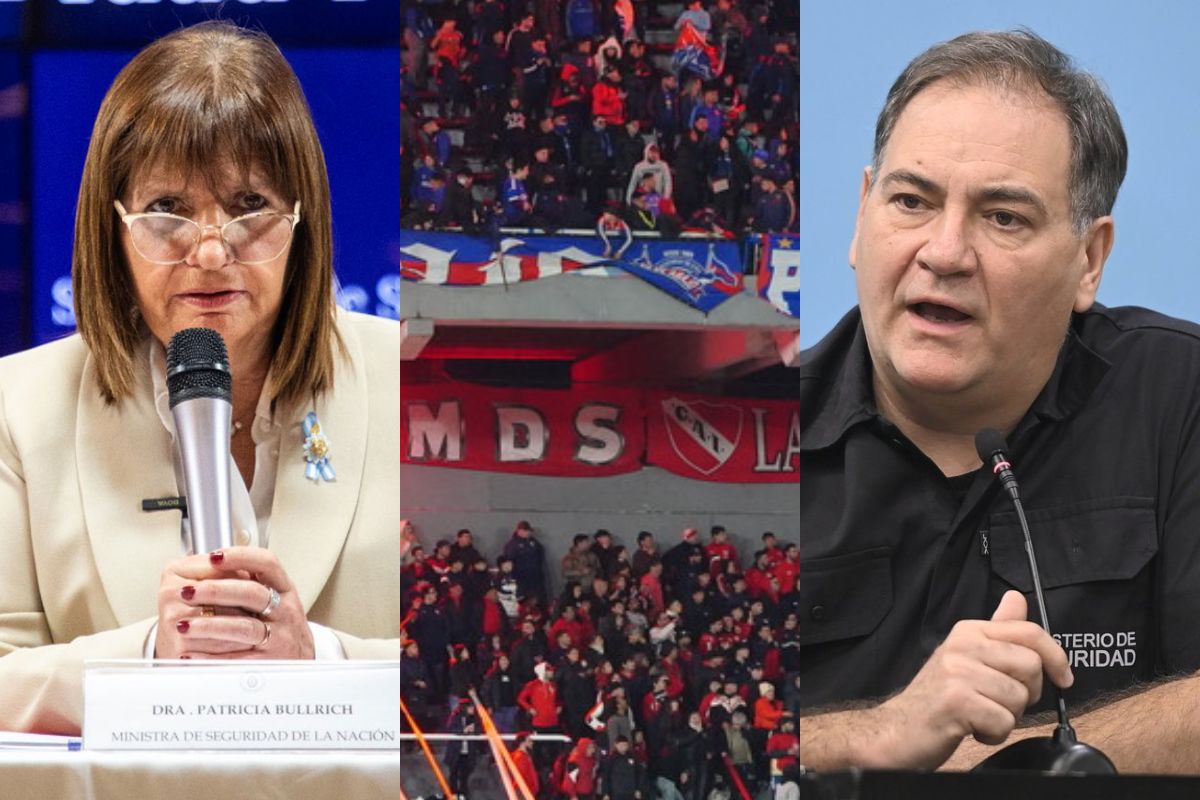 Javier Alonso Ministerio de Seguridad Patricia Bullrich