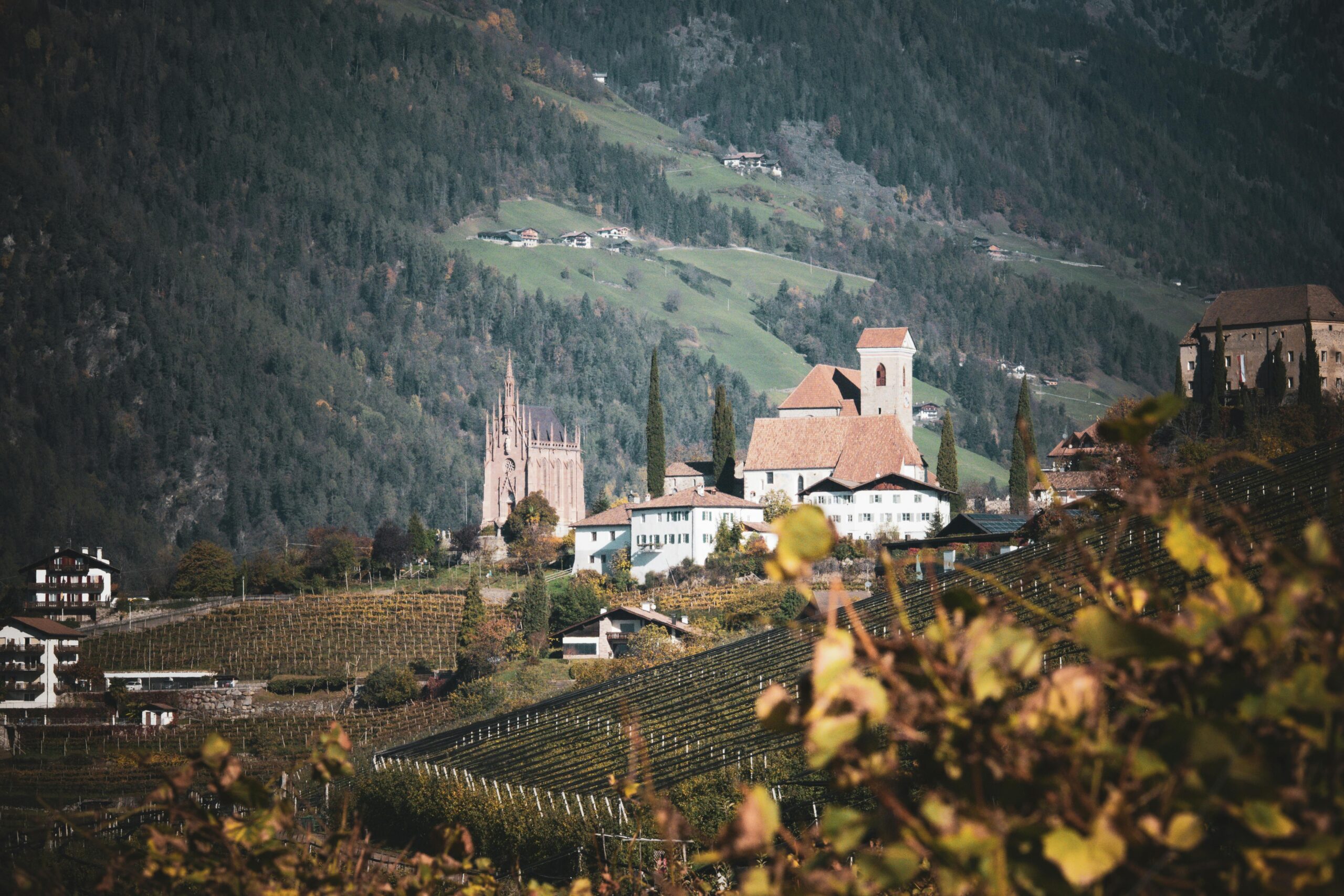 Vinos de España