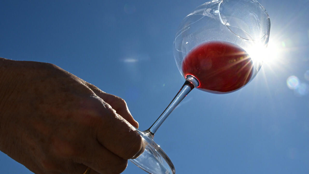 Vinos europeos