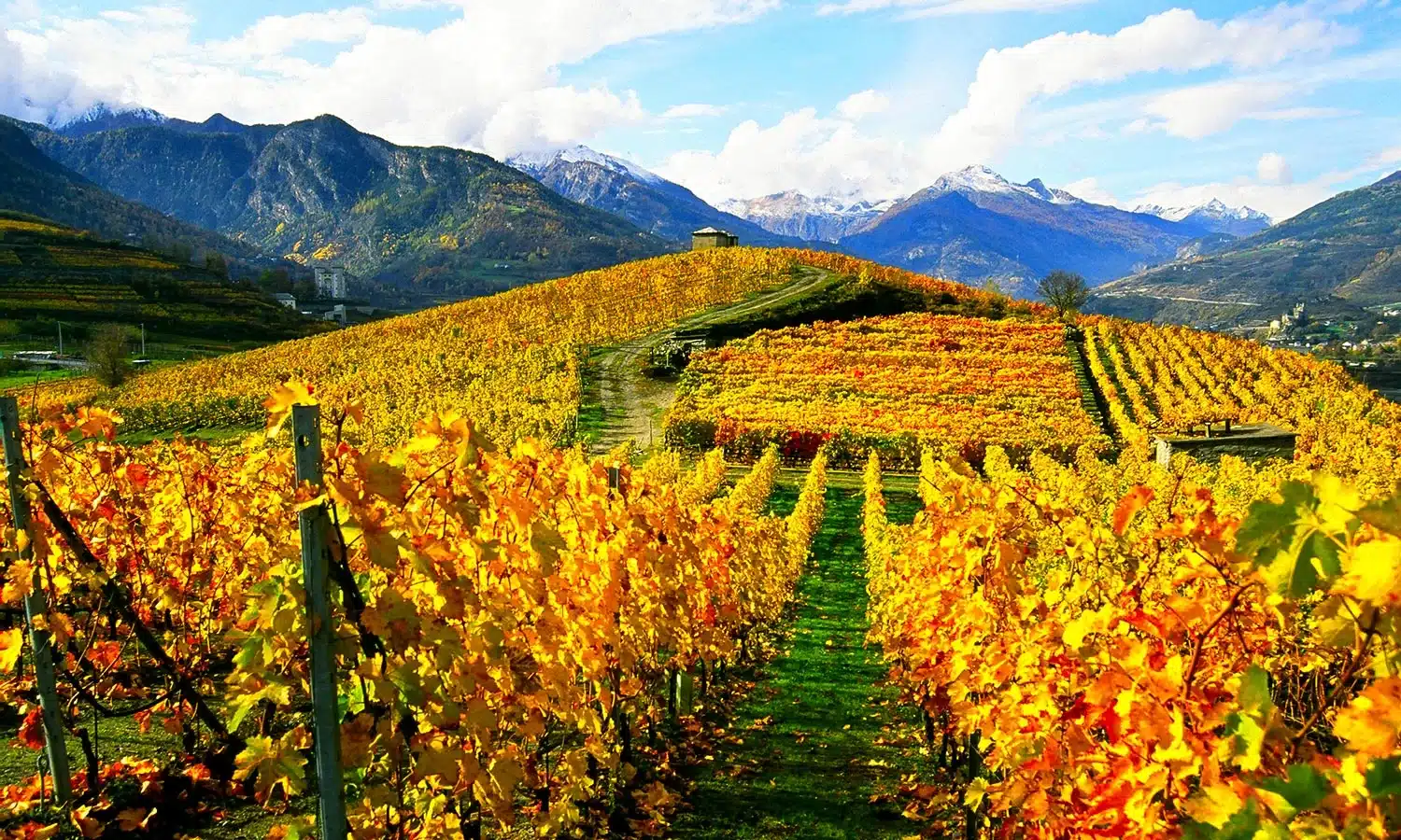 Los Alpes
