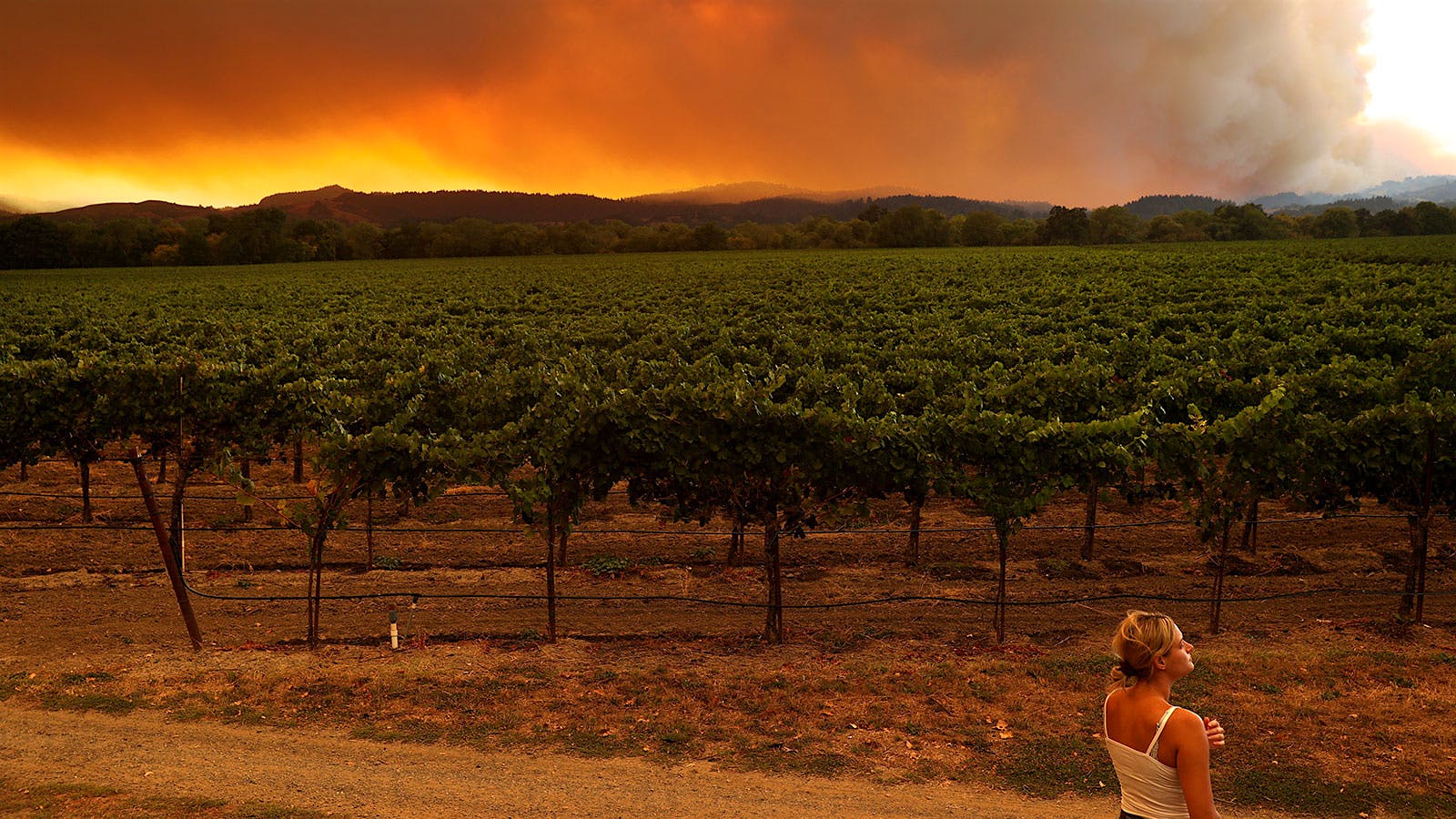 incendios
