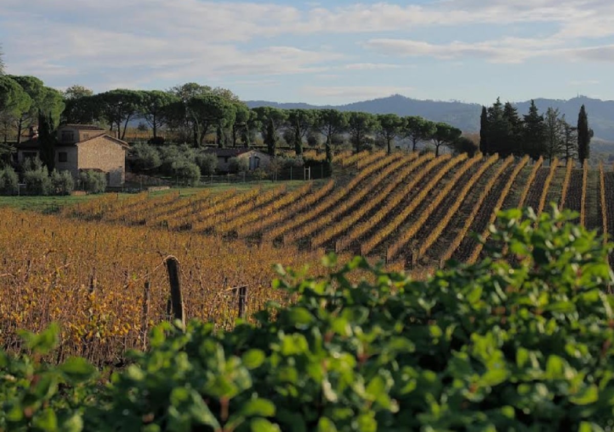 Vinos de Italia