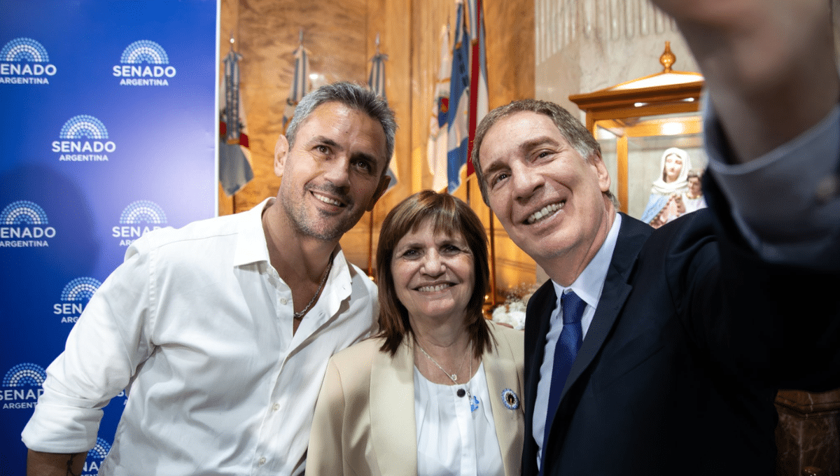 Santilli Menem Bullrich Senado