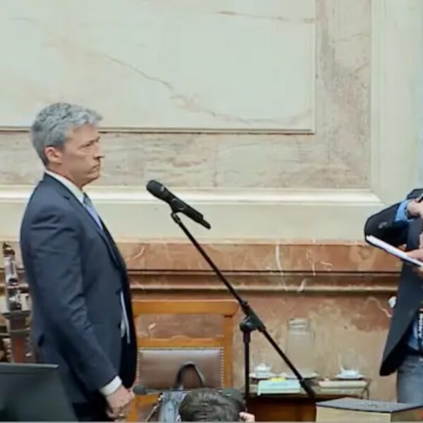 designación de auditores