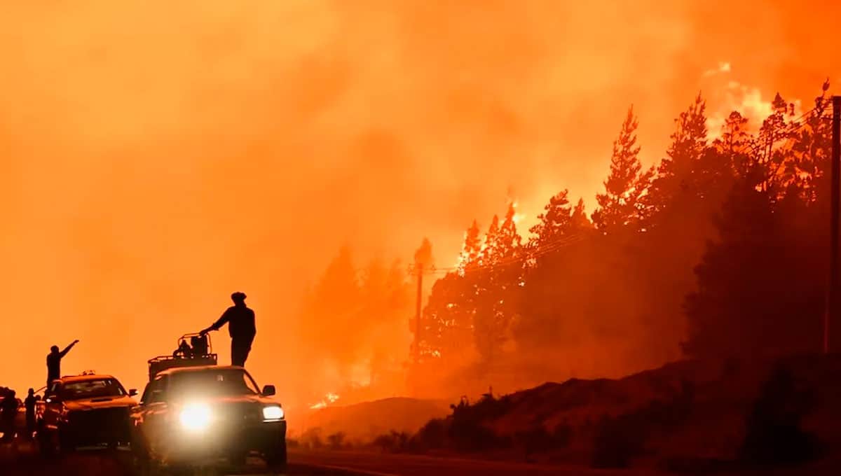 Incendios Patagonia
