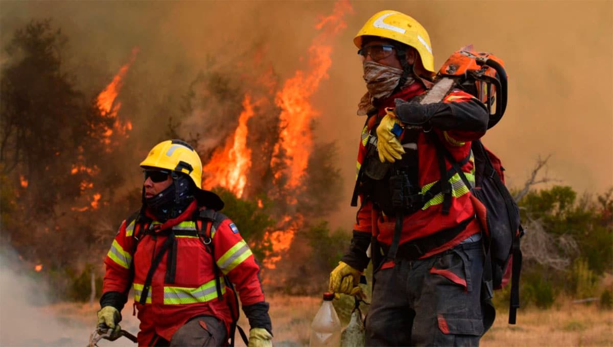 Bomberos Brigadistas Incendios Sur