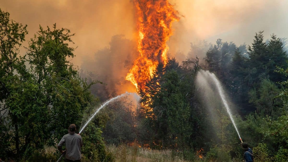Incendios en la Patagonia Grabois La Cámpora
