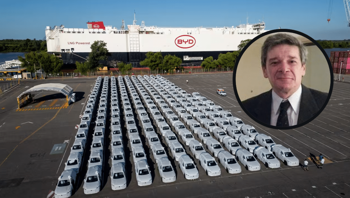 Llegada Autos chinos