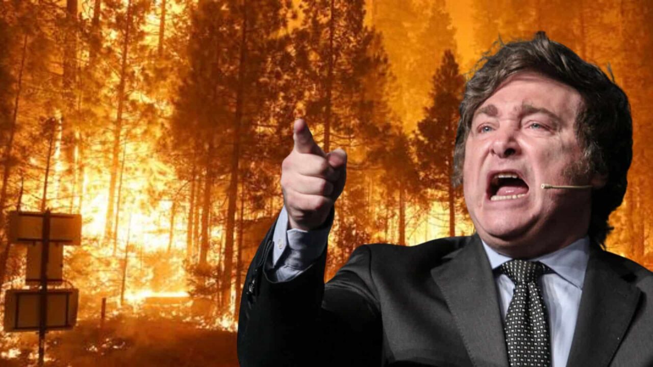 Milei Gobierno nacional