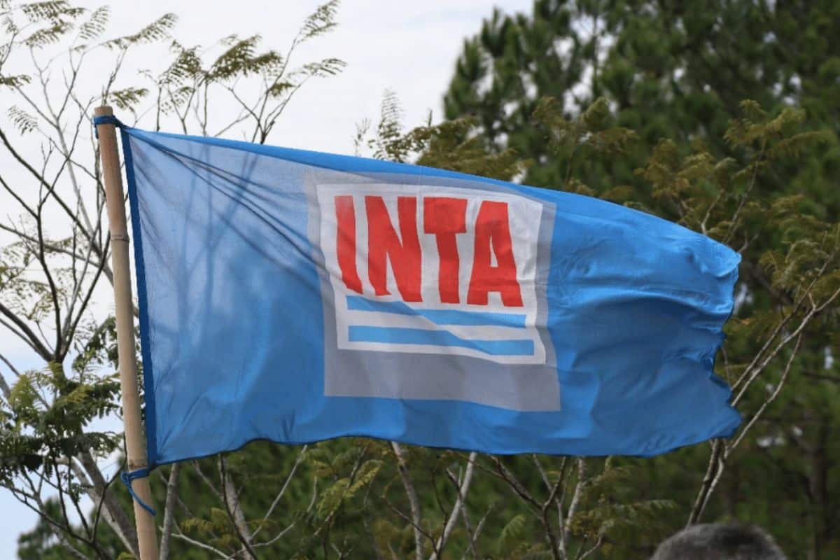 INTA