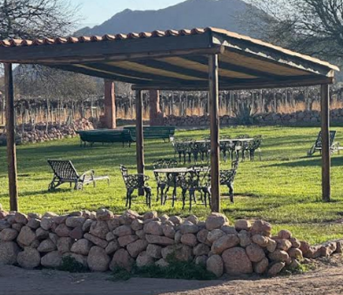 Bodega Mena Saravia