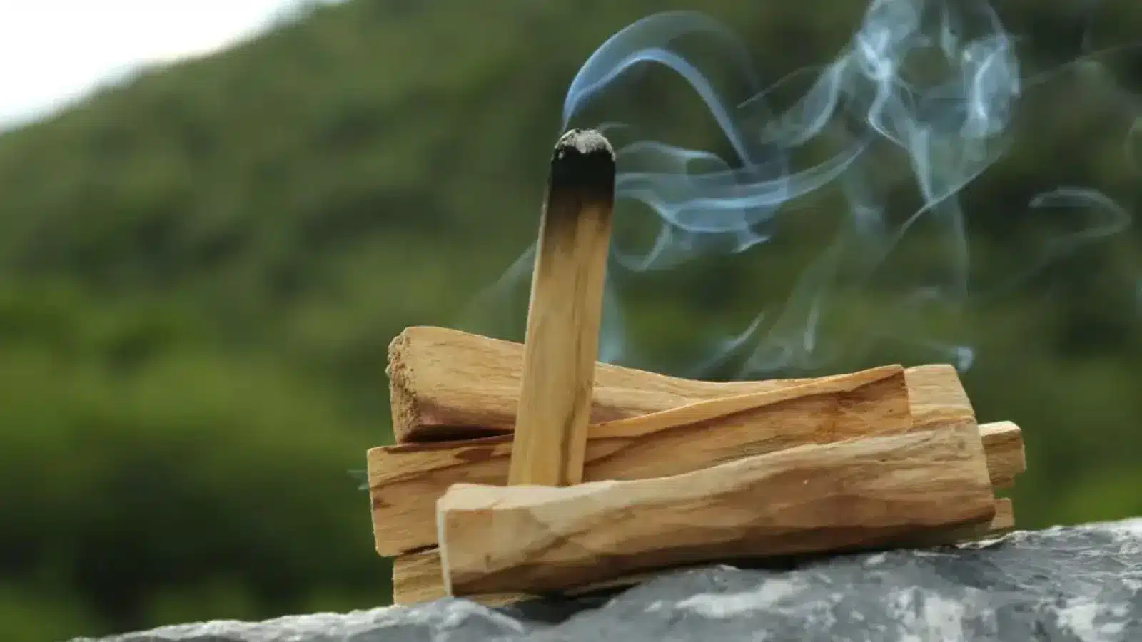 Palo Santo