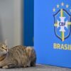 Brasil