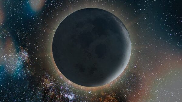 Luna Nueva