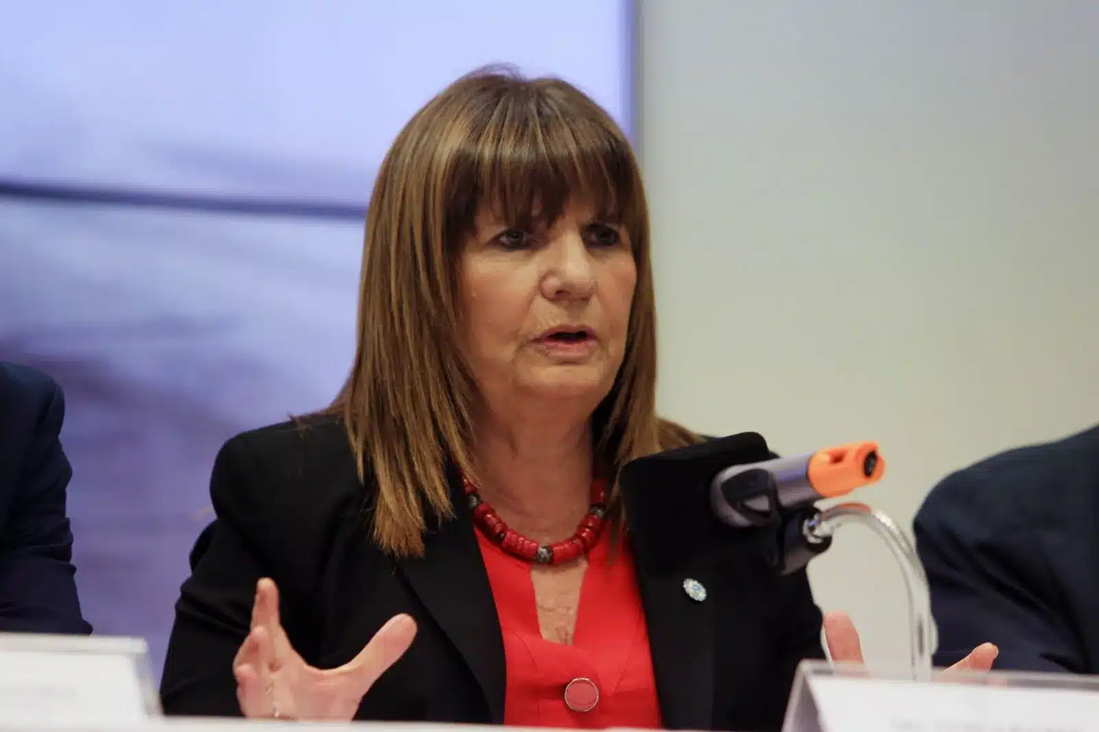 Patricia Bullrich