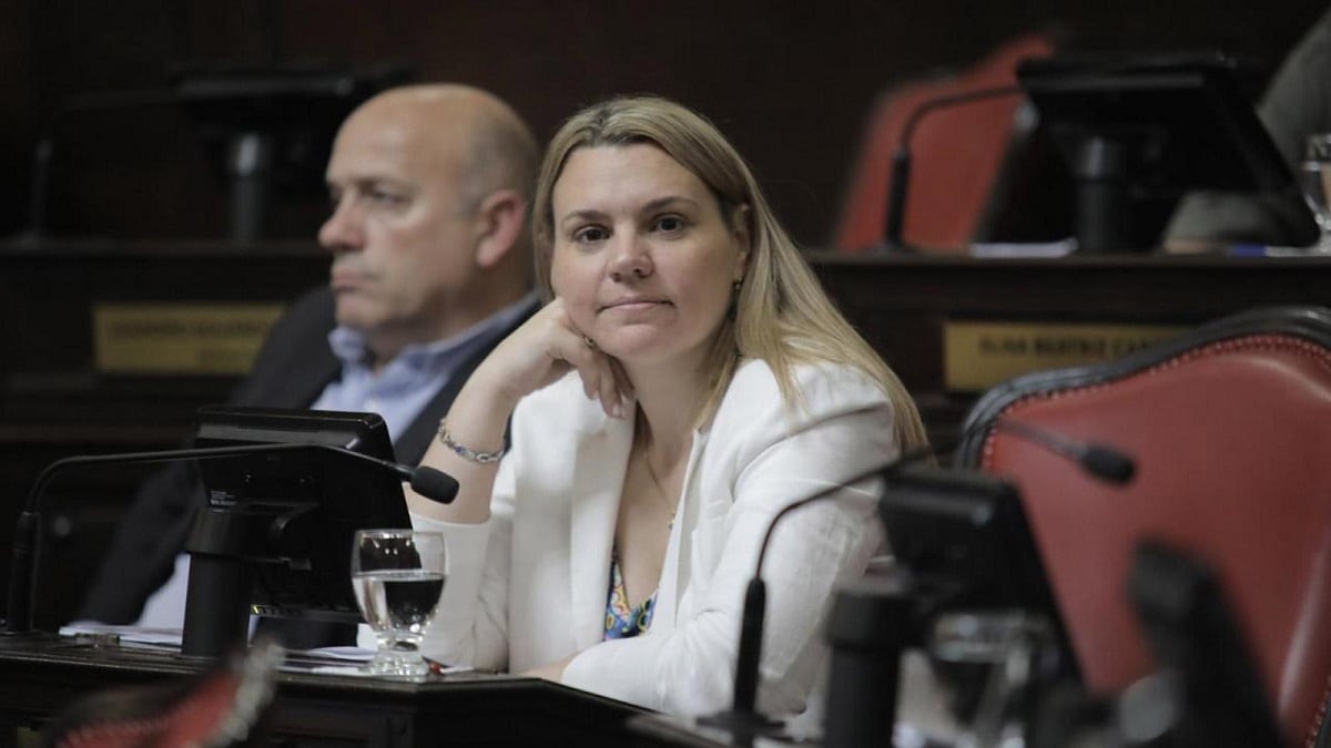 Lorena Petrovich le deja un mensaje a Axel Kicillof por la inseguridad: «Se pone cada vez más violento»